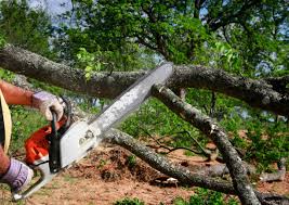  Hales Corners, WI Tree Services Pros