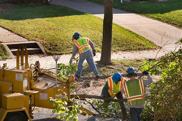 Best Seasonal Cleanup (Spring/Fall)  in Hales Corners, WI
