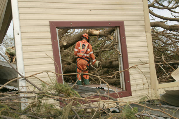 Best Utility Line Clearance  in Hales Corners, WI